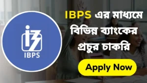 IBPS PO Recruitment 2024